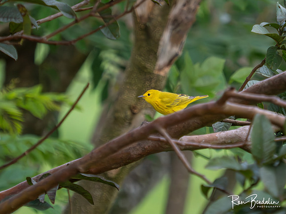 _B086816-Edit-2