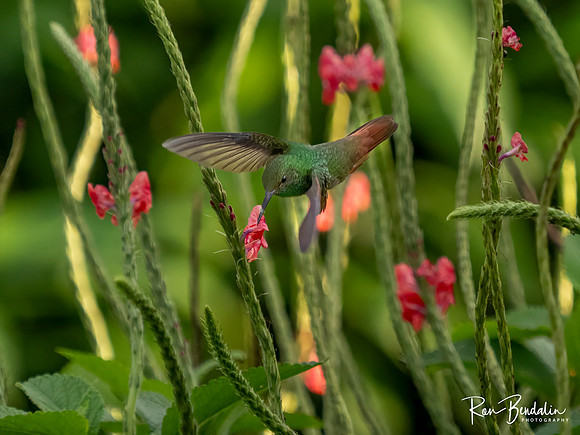 _B087055-Edit