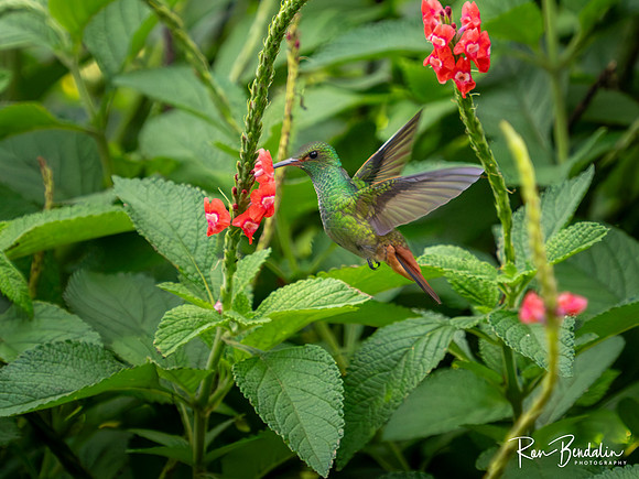 _B087090-Edit-3