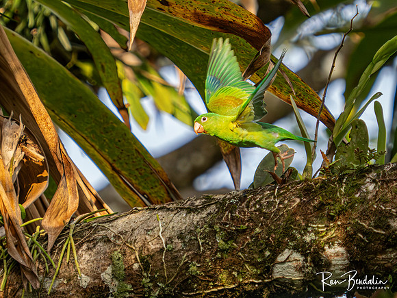 _B087142-Edit