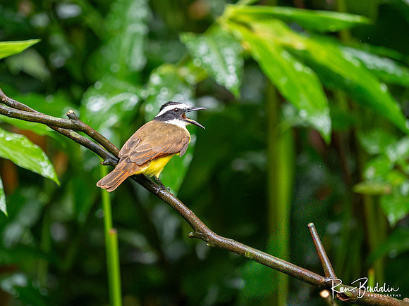 Ecocentro Danaus