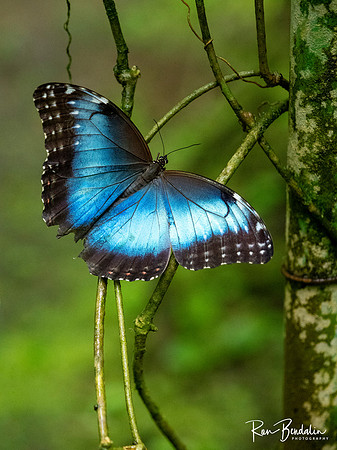 Ecocentro Danaus
