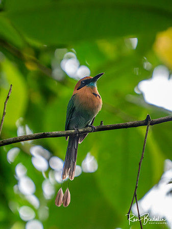 Ecocentro Danaus