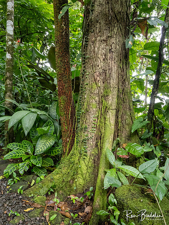 Ecocentro Danaus