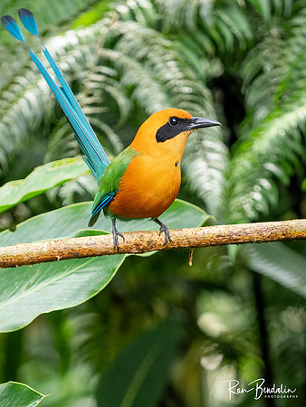 Ecocentro Danaus