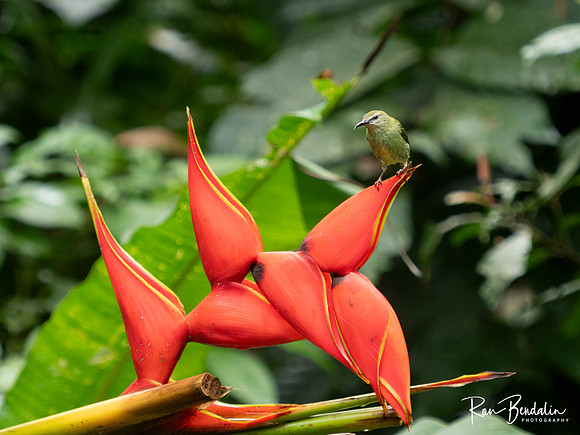 Ecocentro Danaus