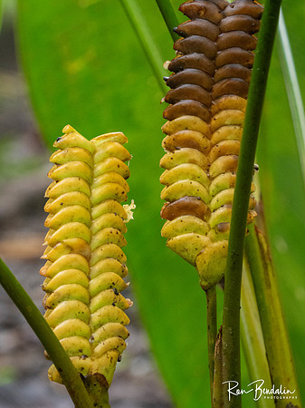 _B108580
