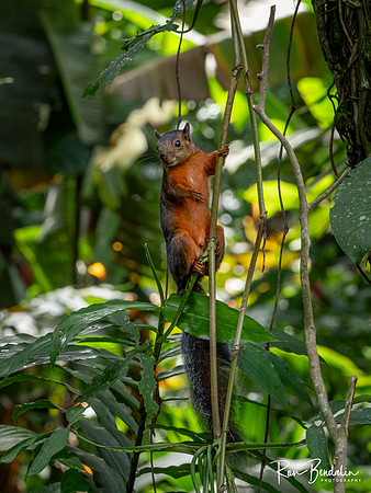 _B098182-Edit