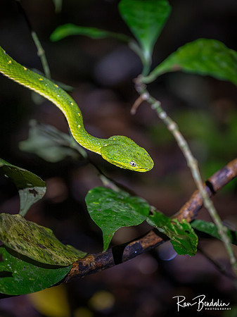 _B118818-Edit