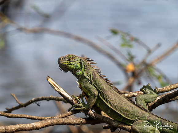 _B149939-Edit
