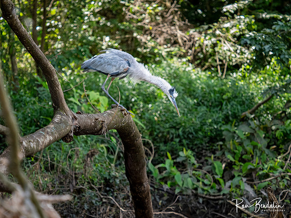 _B140978-Edit
