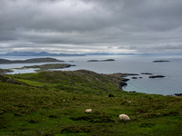 Killarney and area