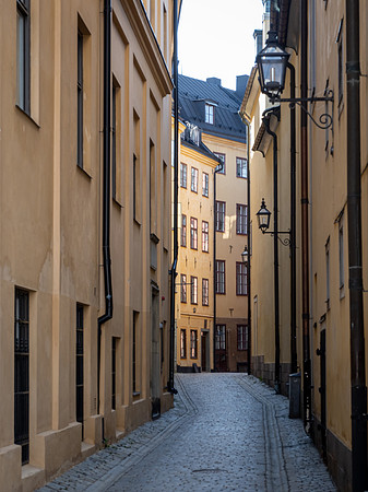 _5240454