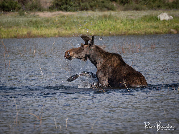 _6207307-Edit