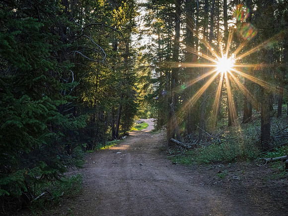 _6193578-Edit