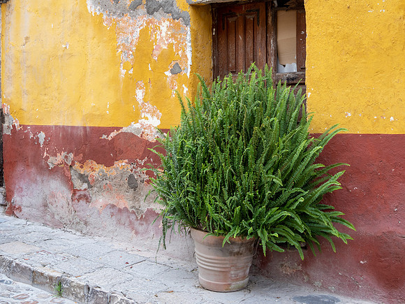SanMiguelDeAllende-290942