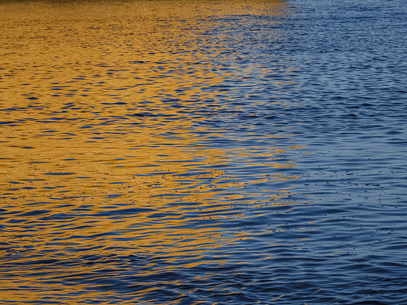 _5251599